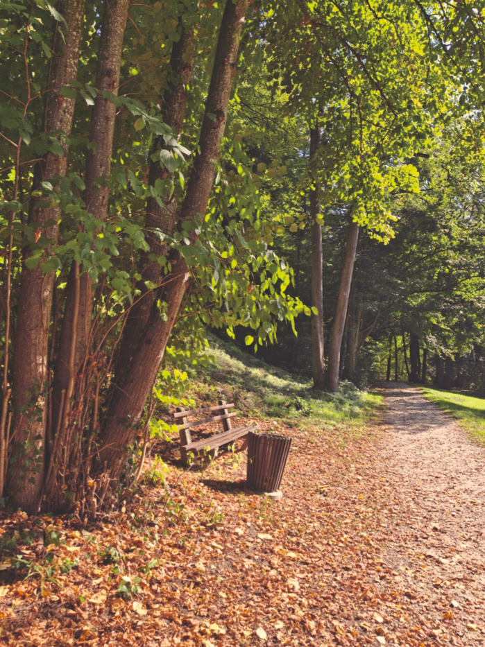 Wald